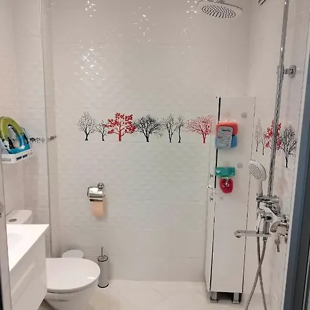 Apartament Alinik